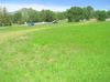 3791 PINE St., photo